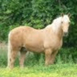 Meet your Posher, Jan